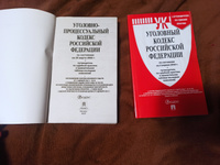 Уголовный Кодекс 2024 + УПК РФ 2024 (по сост. на 25.09.24г.). КОМПЛЕКТ. #2, Елизавета К.