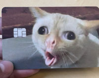 Мем котик наклейка на карту банковскую #67, Анжелика Б.