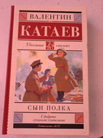 Сын полка | Катаев Валентин Петрович #7, Оксана З.