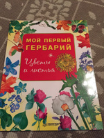 Мой первый гербарий. Цветы и листья #7, Ольга