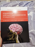 Клиническая нейроанатомия и неврология по Фицджеральду | Мтуи Эстомих, Грюнер Грегори #5, Инна