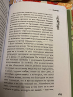 Еще один год в Провансе | Мейл Питер #6, Знаменская Ксения