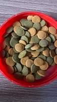 Tetra Wafer Mix (таблетки, пластинки) 200 грамм - корм для донных рыб, сомов и ракообразных. #78, Линара И.