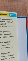 Энциклопедия для детей с заданиями Тело человека Умка / развивающая книга детская | Козырь Анна #28, Елена Р.