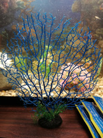 Искусственный коралл для аквариума Горгонария, 30*25см #3, Наталья П.