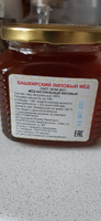 Мёд свежий натуральный, Башкирский ЛИПОВЫЙ мёд, "Пасека Кудояровых", 550 г, сбор 2023 года #48, Елена Н.
