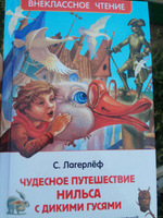 Лагерлёф С. Чудесное путешествие Нильса с дикими гусями. Сказка Приключения Внеклассное чтение 1-5 классы | Лагерлеф Сельма #7, Галина И.