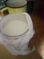 Закваска для кефира из Тибетского молочного гриба - на 5 литров #3, оксана п.
