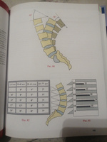 Позвоночник: Физиология суставов (обновленное издание) | Капанджи А. И. #3, Юлия Б.