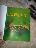 Насекомые. Детская энциклопедия школьника. Познавательная книга о природе для детей от 7 лет #5, алена и.