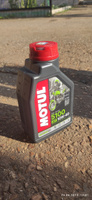 MOTUL 5100 4T 10W-40 Масло моторное, Полусинтетическое, 1 л #2, Артем А.