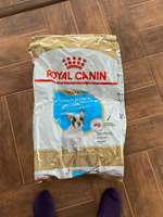 Сухой корм для щенков породы французский бульдог Royal Canin French Bulldog Puppy, с птицей, 10 кг #8, Анастасия С.