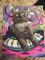 Картина по номерам на холсте на подрамнике 40х50 "Кот из мемасиков" #129, Анастасия