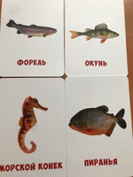 Карточки для малышей развивающие от 0+ "Рыбы" (звуковые карточки), 30 шт. #119, Аниса Ш.