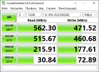 Patriot Memory 256 ГБ Внутренний SSD-диск P210 2.5" SATA3 6.0 Гбит/с (P210S256G25) #104, Кудрат А.