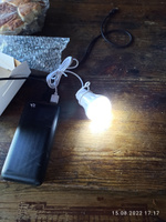 Светодиодный портативный кемпинговый фонарь на шнуре USB. Лампочка USB. Лампочка для кемпинга. #7, Лев С.