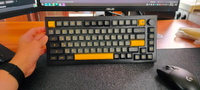 Игровая Клавиатура AKKO 5075B Plus Black&Gold 3 Modes RGB Hot Swap V3 Cream Yellow Switch,ASA profile keycap #1, Алексей Ш.