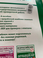 Окружающий мир. Суперсборник для подготовки к Всероссийским проверочным работам. 4 класс | Курчина Светлана Валентиновна #13, Кирилл К.