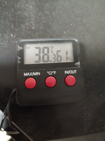 Термометр с гигрометром ТГМ-2 с датчиками температуры и влажности #2, Александр Щ.