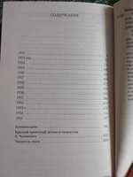 "Верю в свои силы..." Дневники 1922-1935 годов. Книга вторая | Чуковский Корней Иванович #6, Юлия Т.