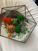 Флорариум Икосаэдр (кашпо) d-20 см. Glass Flowers #16, Кристина С.
