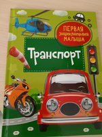 Транспорт. Первая энциклопедия малыша. Познавательная книга с заданиями для детей от 3 лет про машины, поезда, самолеты и другую технику | Попова Л. А. #8, Татьяна П.