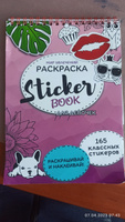 Стикербук-раскраска/Раскраска наклеек для девочек/Набор стикеров #55, Татьяна К.