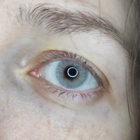 ЗЕЛЕНЫЕ + СЕРЫЕ Цветные контактные линзы для глаз MAGESTIC, 12 месяцев, 0.00 #7, Анна М.
