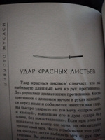 Книга пяти колец | Миямото Мусаси #6, Илья