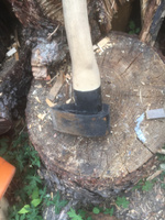 Литой колун для дров ЛОМ с деревянным топорищем, 2.5 кг #5, Сергей Д.