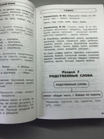 Весь курс начальной школы в схемах и таблицах. 1-4 класс. Русский язык, математика, окружающий мир | Узорова Ольга Васильевна #1, Наталья Р.