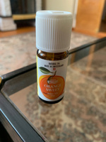 Эфирное масло Апельсин/ Orange Sweet Vivasan антисептическое, бактерицидное, спазмолитическое, успокаивающее, 10 мл #57, Алексей Ш.