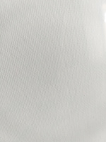 Холст для рисования на картоне Гамма "Студия", холст 50х70 см грунтованный, хлопок, мелкое зерно, для красок акрила, масла, гуаши, хобби и творчества #61, Надежда З.