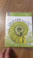 Пасечник В.В. и др. Биология. Рабочая тетрадь. 6 класс. Базовый уровень | Пасечник В. В. #1, Екатерина К.