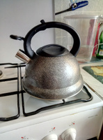 Чайник из нержавеющей стали со свистком P-650192 Napoli, 2,7 литра для газовой, электрической и индукционной плиты/ чайник со свистком/ чайник для плиты #47, Таня Женя С.