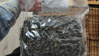 Архангельские морские водоросли пищевые ламинария шинкованная, 1 кг, морская капуста для салата, супа. Органический йод витамины. Kelp #105, Артём