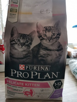 Сухой корм PRO PLAN Kitten DELICATE DIGESTION для котят с чувствительным пищеварением, с высоким содержанием индейки, 1.5 кг #14, Анастасия