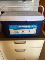 Изотермический контейнер Thermobox Camping World Family Line 20 л, термоконтейнер для еды, лекарств #19, Любовь П.