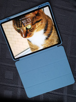Чехол книжка для iPad Pro 12.9 (2022, 2021, 2020, 2018г) с отделением для стилуса, Dux Ducis Toby series голубой #12, Ульяна