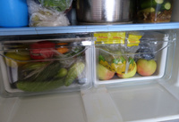 Панель овощного ящика для холодильника Indesit C00385672 #8, Ольга