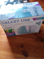 Измельчитель кухонный электрический GALAXY LINE GL2366 мятный #30, Ольга П.