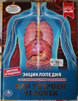 Энциклопедия для детей с заданиями Тело человека Умка / развивающая книга детская | Козырь Анна #54, Валентина К.