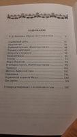 Городок в табакерке Одоевский В.Ф. Школьная библиотека программа по чтению Внеклассное чтение Детская литература Книга для детей 4 5 класс | Одоевский Владимир Федорович #5, Анастасия