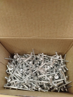 Заклёпки вытяжные для заклёпочника алюминиевые 3,2х10 500шт #53, PETR T.