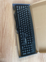 Клавиатура проводная USB Defender Office HB-910 RU, полноразмерная #162, Андрей Кравченко