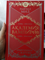 Академия вампиров. Книга 1. Охотники и жертвы | Мид Райчел #1, Олеся П.