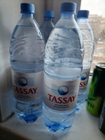 Вода негазированная Tassay природная, 6 шт х 1,5 л #312, Aliskin