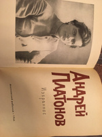 Андрей Платонов. Избранное | Платонов Андрей Платонович #1, Ирина В.