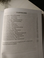 Шолохов. Незаконный | Прилепин Захар #7, Ольга К.