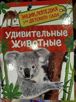 Удивительные животные. Энциклопедия для детского сада | Клюшник Л. В. #2, Ольга З.